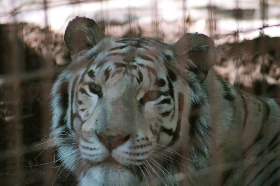 bengal tiger at the baghdad zoo pdf